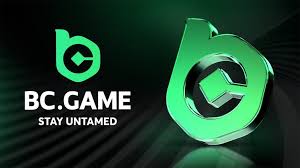Understanding the BC Game Mirror A Comprehensive Guide Understanding the BC Game Mirror A Comprehensive Guide