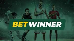 BetWinner Betting Platform Review A Comprehensive Guide